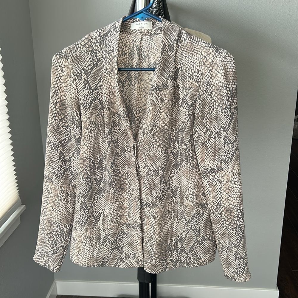 Babaton from Aritzia | Button down blouse